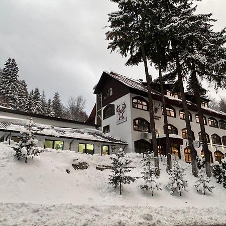 Cerbul Chalet Accommodation & Wellness Ришнов Екстер'єр фото