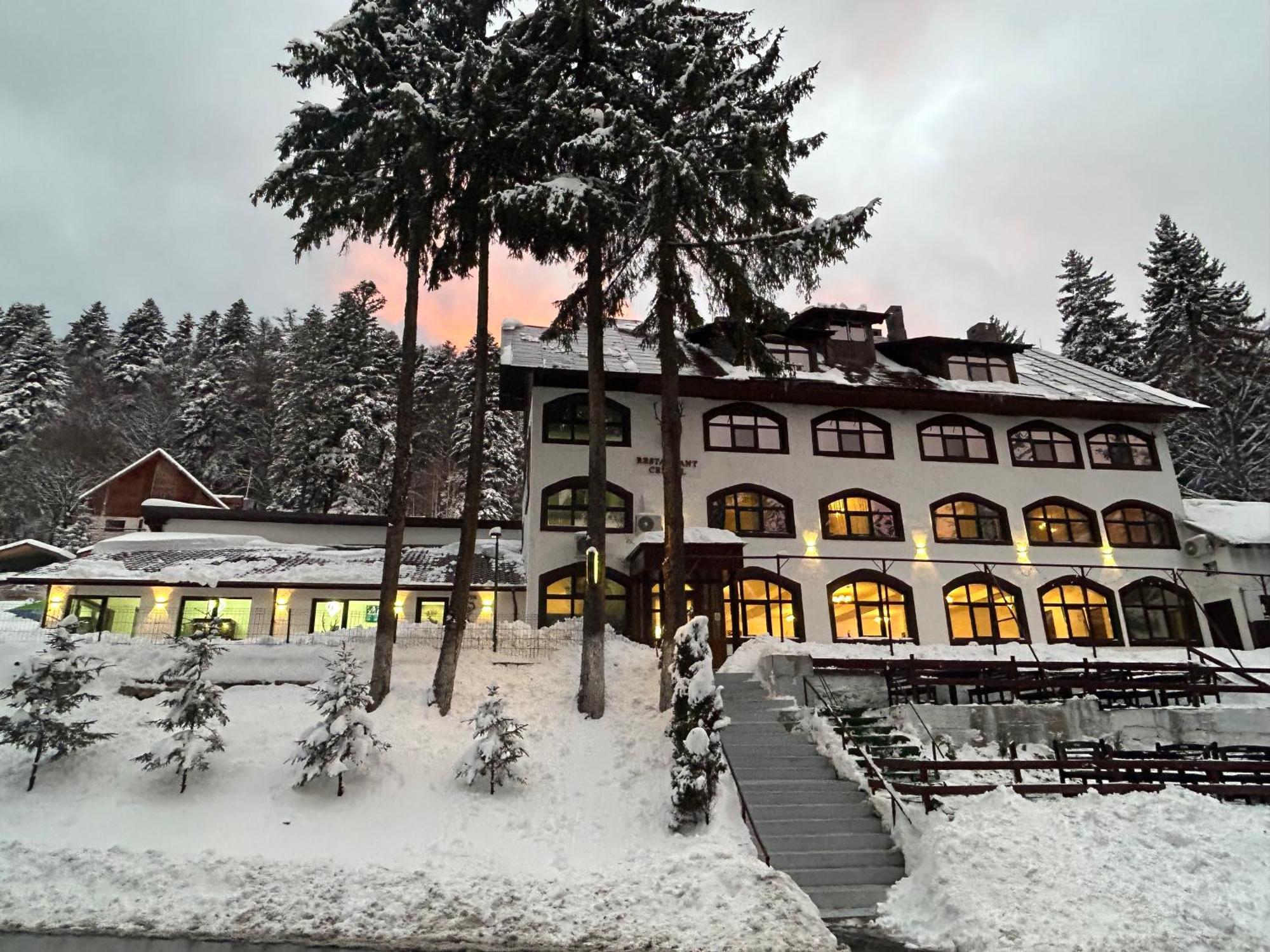 Cerbul Chalet Accommodation & Wellness Ришнов Екстер'єр фото