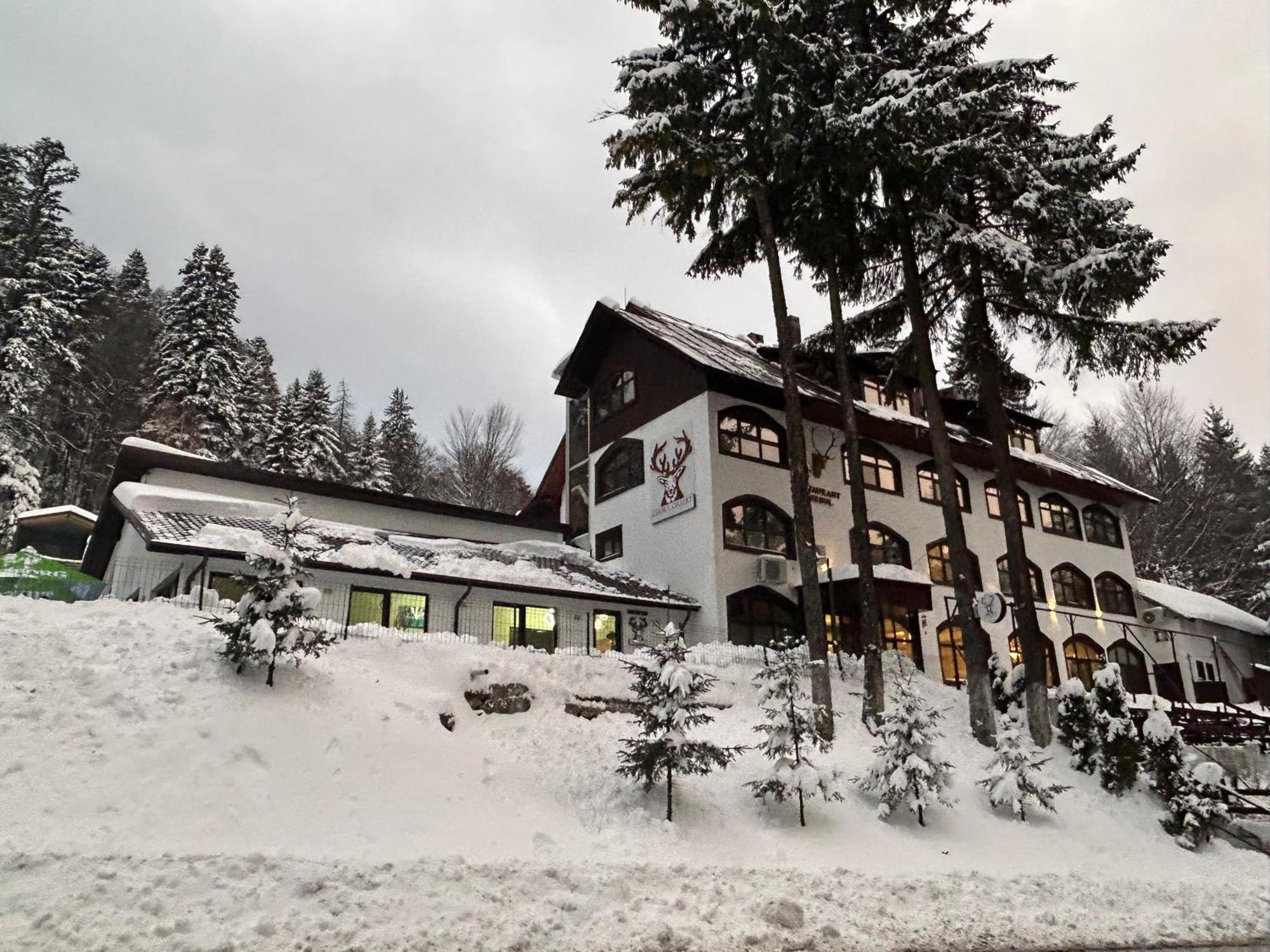 Cerbul Chalet Accommodation & Wellness Ришнов Екстер'єр фото